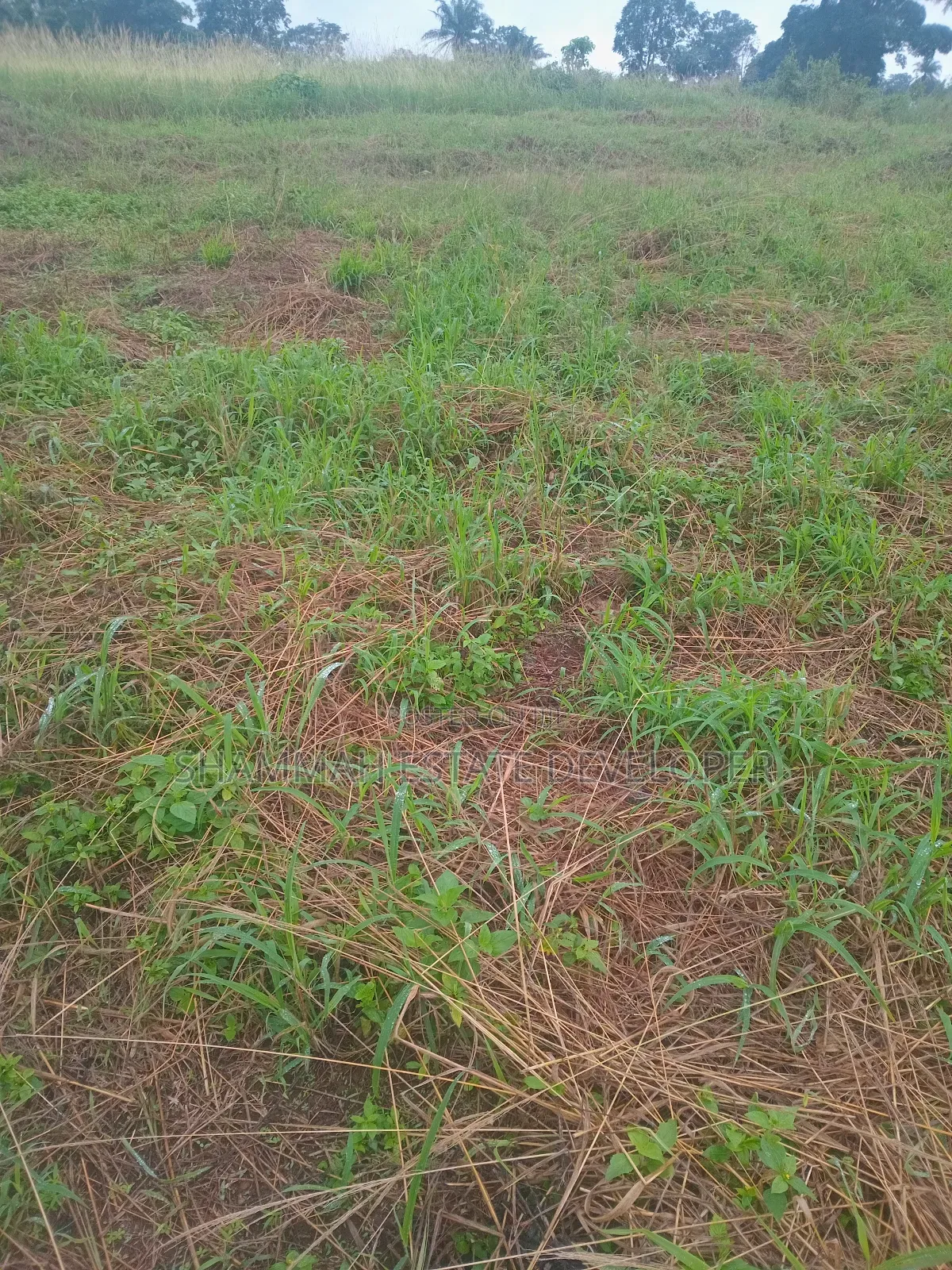 Farmland for Sale