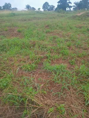 Farmland for Sale