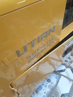 5 KVA Diesel Generator Working Perfectly