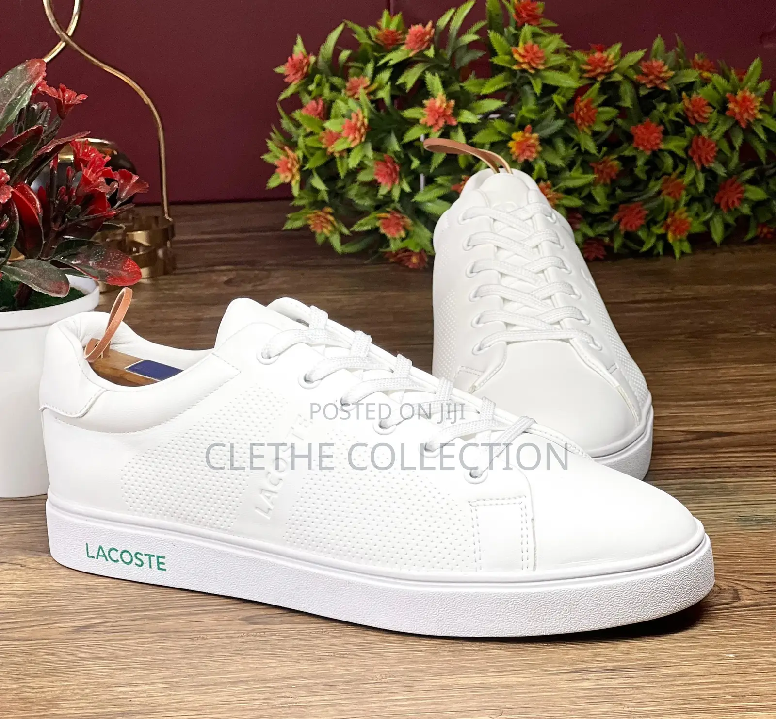 Lacouste Flat/Low Shoes/Canvas