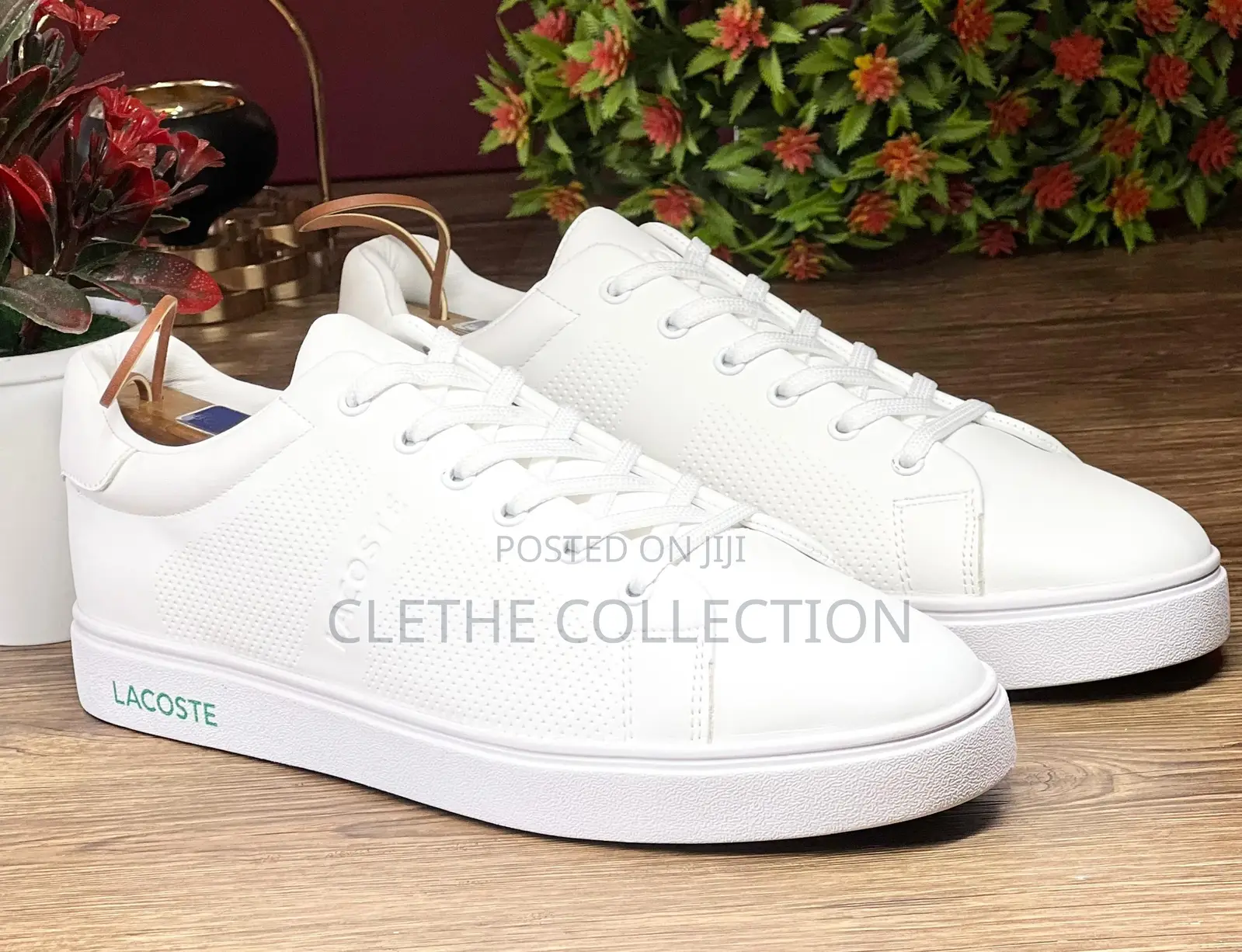 Lacouste Flat/Low Shoes/Canvas