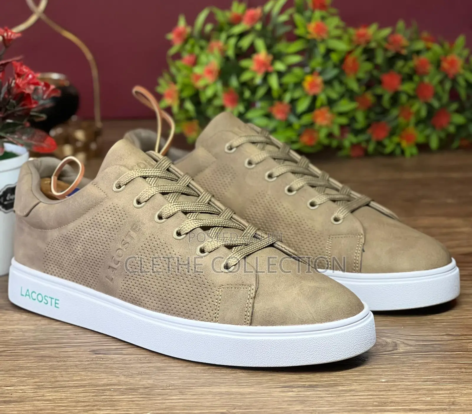 Lacouste Flat/Low Shoes/Canvas