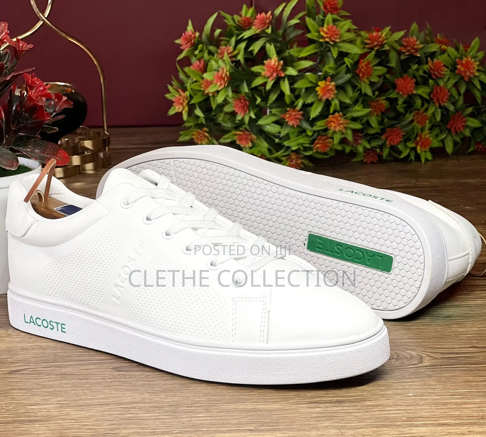 Lacouste Flat/Low Shoes/Canvas