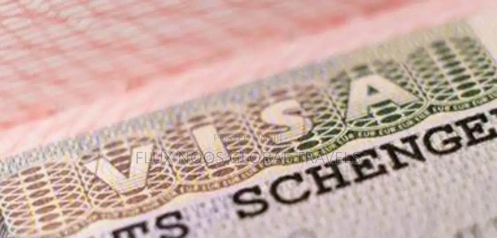 Europe/Schengen Conference Tour Visa In 1month
