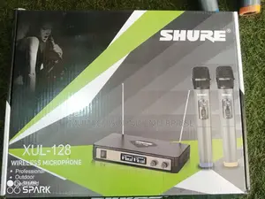 Cordless Microphone