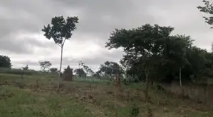 A 2.3 Acre Land At Peduase Lodge For Sale
