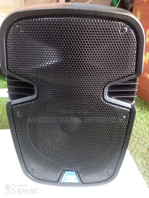 Portable Pa Speaker 8 Inches