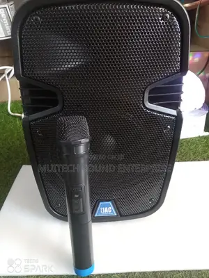 Portable Pa Speaker 8 Inches