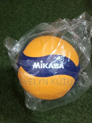 Volleyball