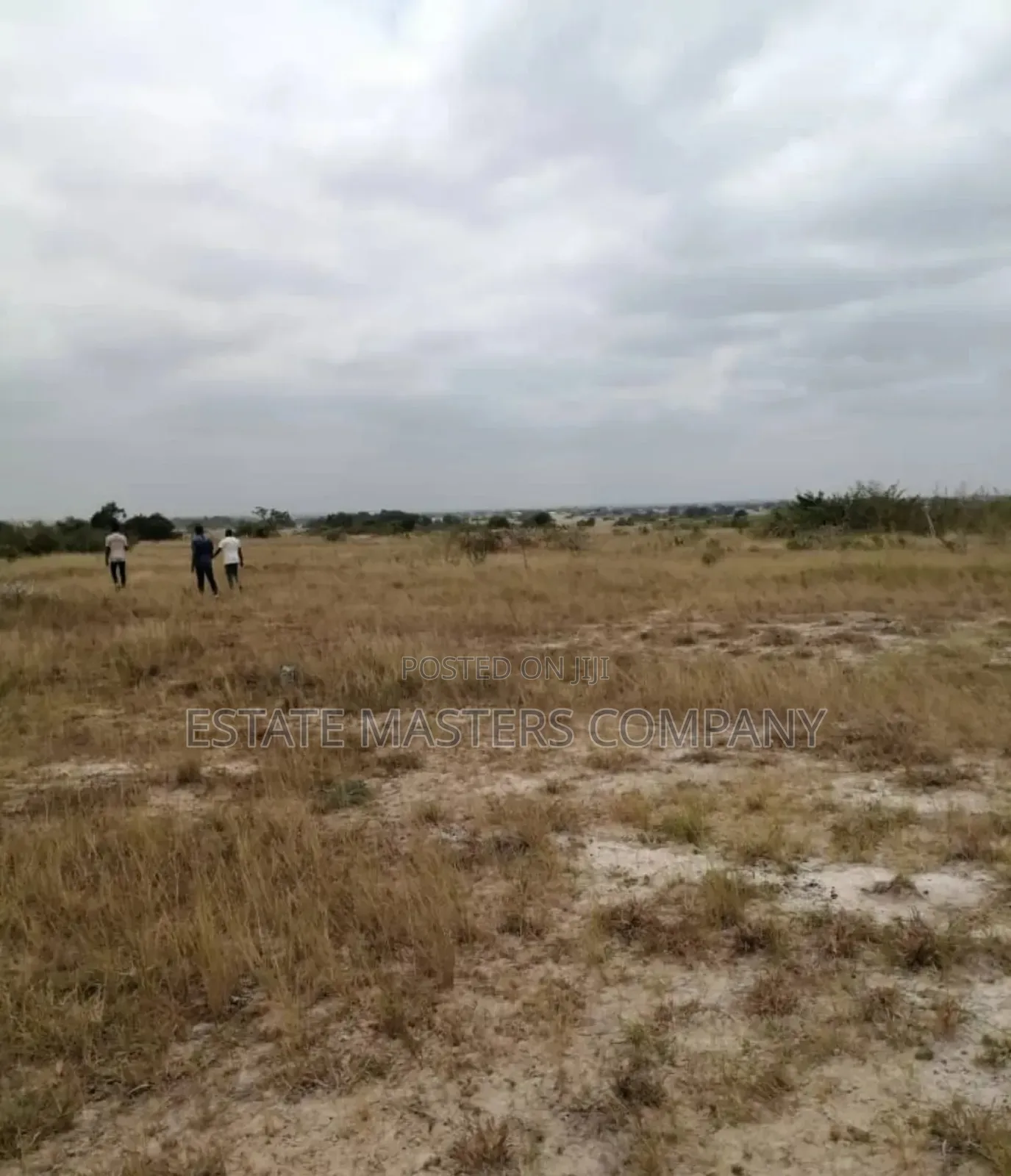 Unfeigned Land Available at Tsopoli