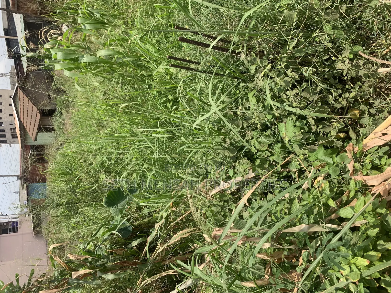 One Acre Land for Sale at East Legon Nanakorm