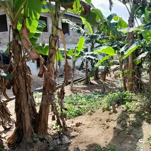 Plot for Sale at Kansa City
