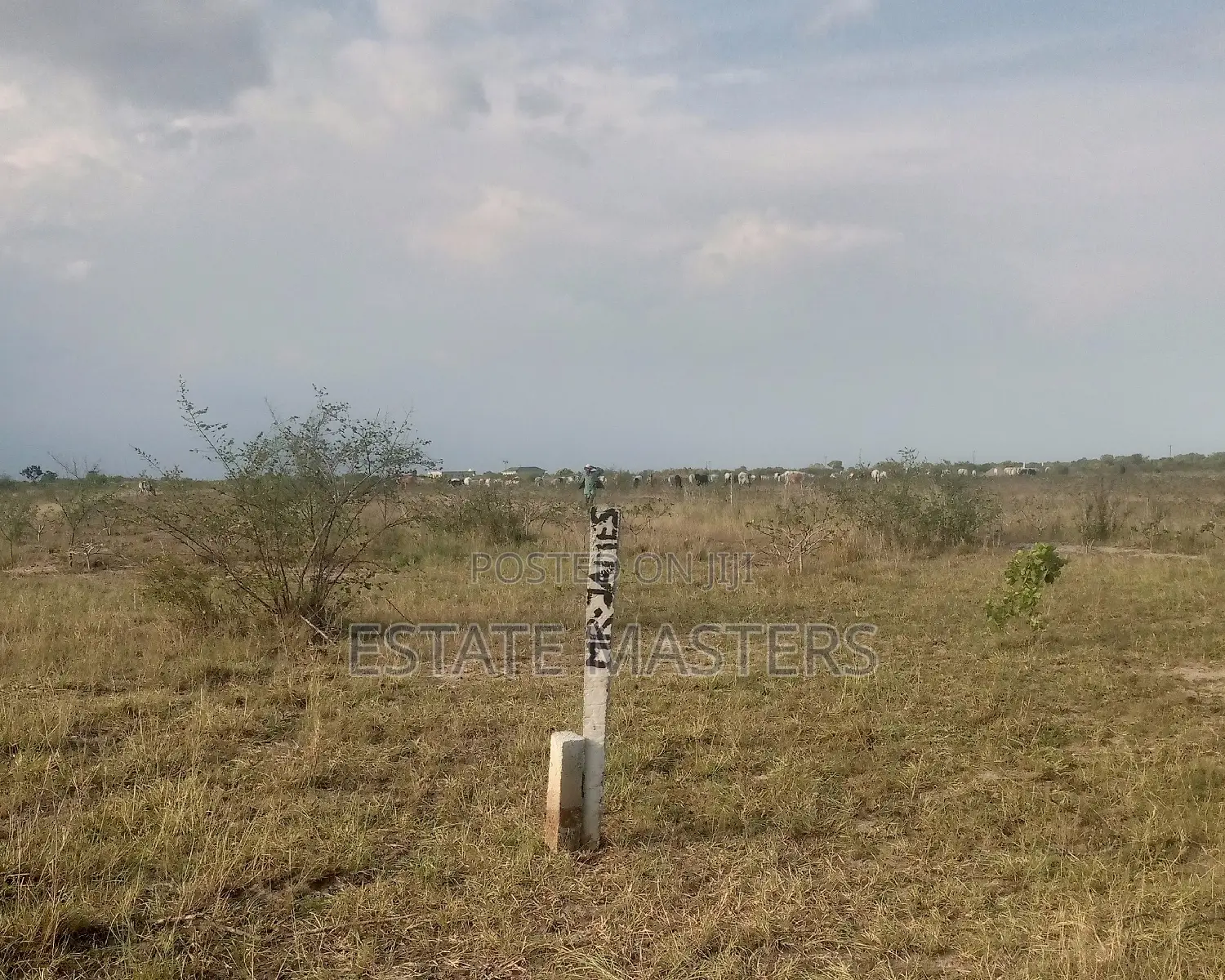Very Lucrative Estate Lands Available for Sale