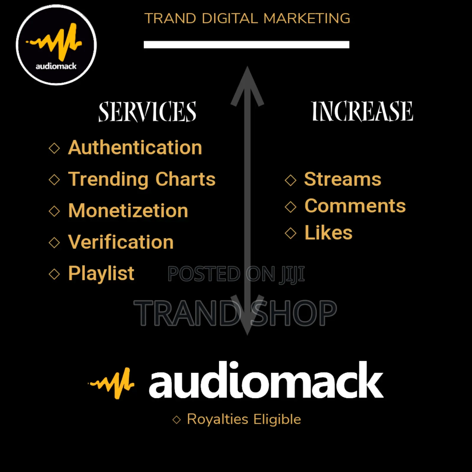 Trands Music Promo Services (Audiomack,Boomplay,Apple Music)