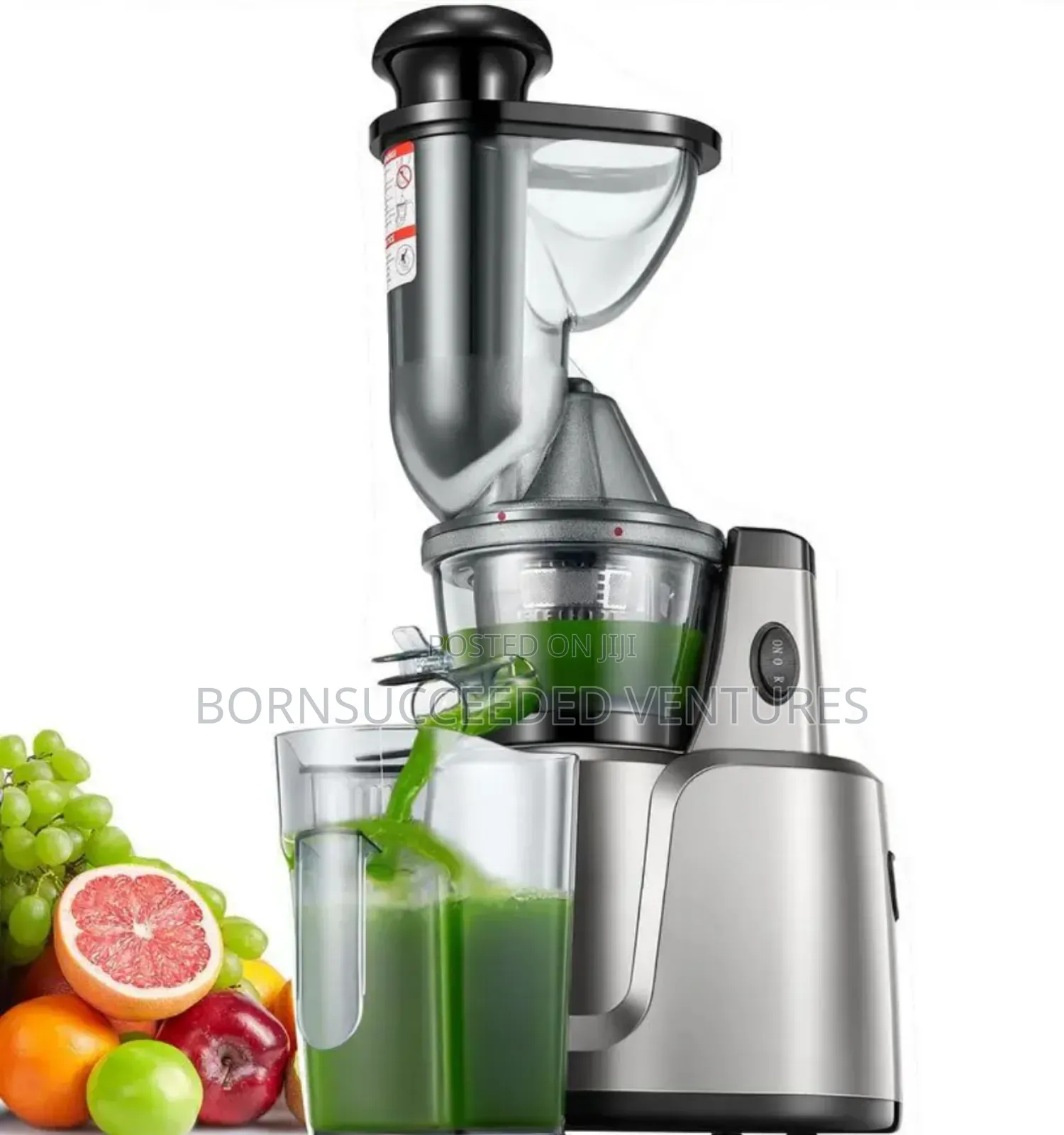 Slow Masticating Cold Press Juicer