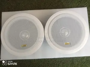 PA Celling Speaker CS 103