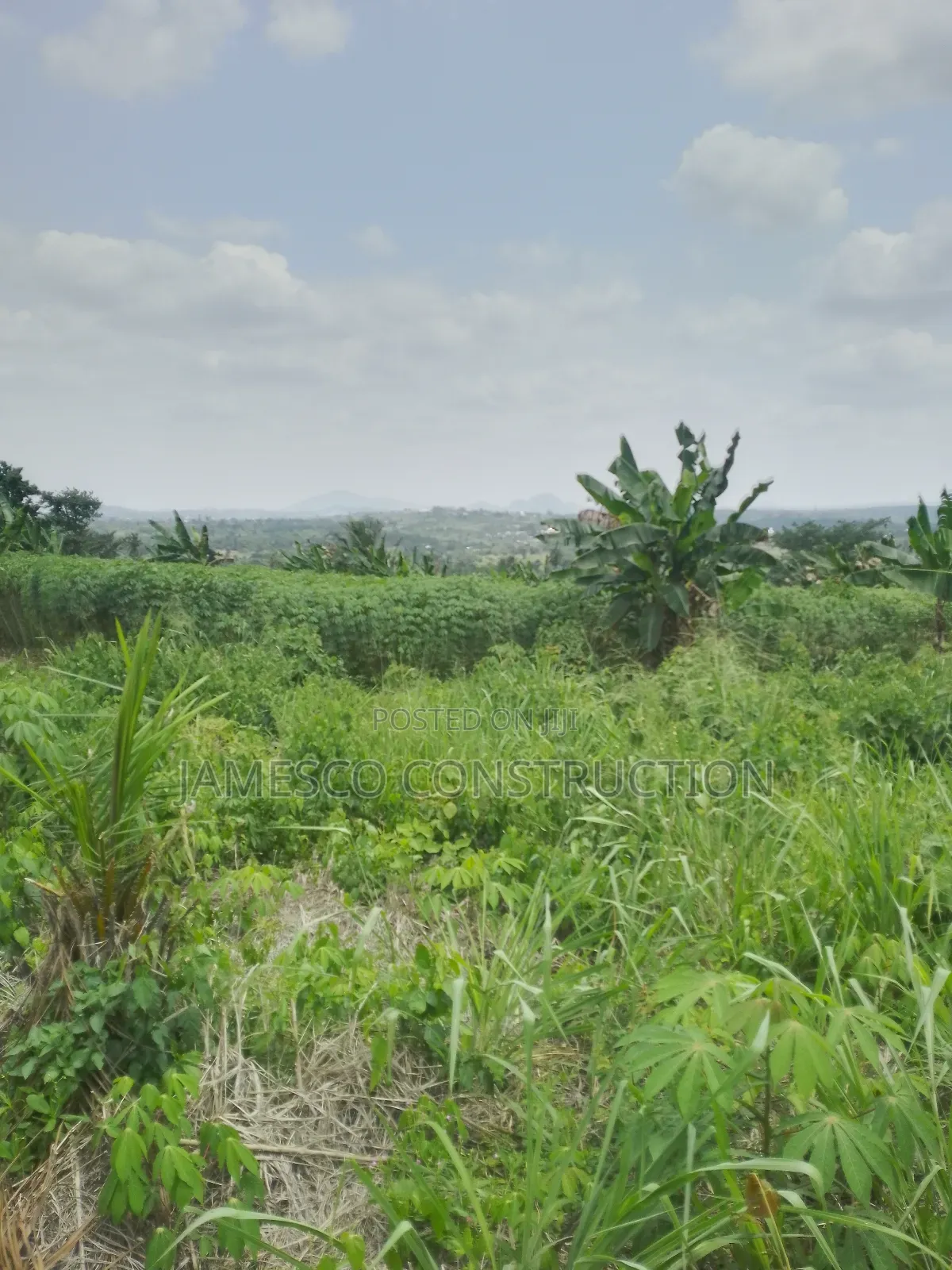 Registered 20 Acres of Farmland for Sale at Asuboi Otumfo