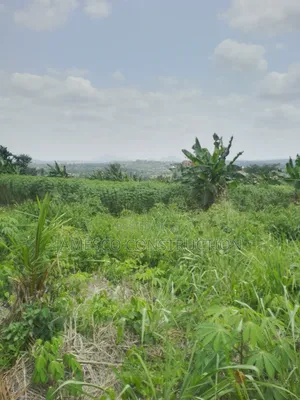 Registered 20 Acres of Farmland for Sale at Asuboi Otumfo
