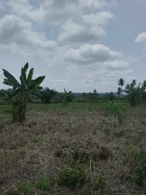 Registered 20 Acres of Farmland for Sale at Asuboi Otumfo