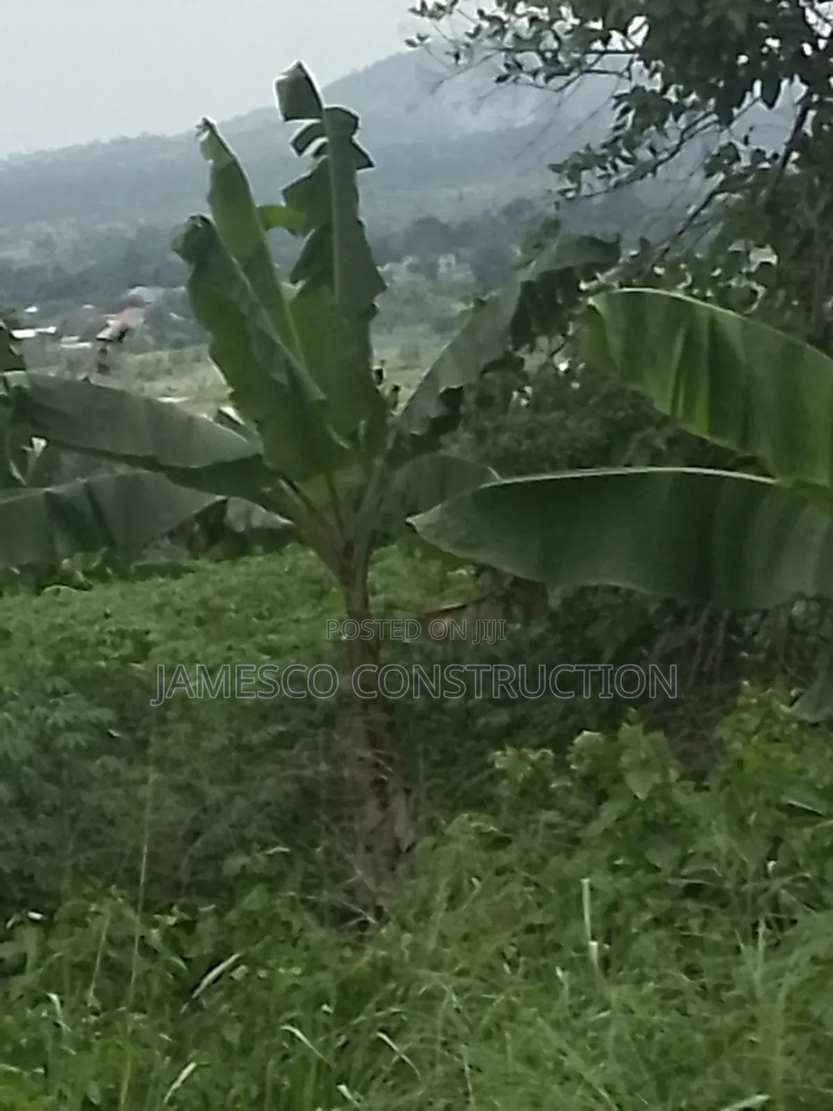 Farmland for Sale at Asuboi Annum