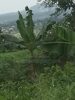 Farmland for Sale at Asuboi Annum