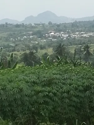Farmland for Sale at Asuboi Annum