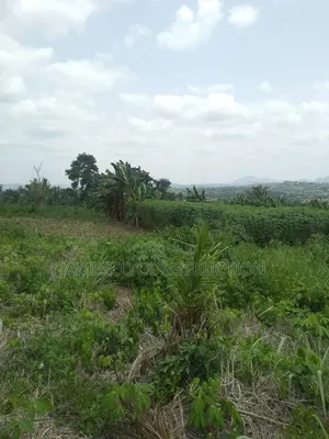 Farmland for Sale at Asuboi Annum