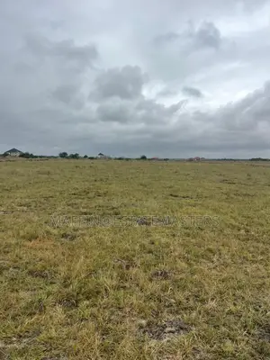 Well Cleared Land for Saletsopoli New Airport City 70x100