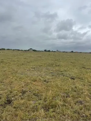 Well Cleared Land for Saletsopoli New Airport City 70x100