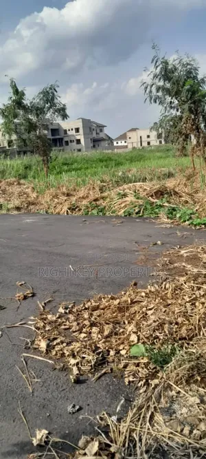 5 Acres of Land at Ahodwo