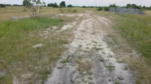 Hurry to Buy a Plot of Land