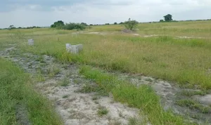 Well Demarcated Plots of Lands for Sale