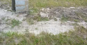 Well Demarcated Plots of Lands for Sale