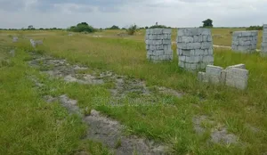 Special Well Landscape for Sale