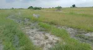 Own a Land and Get Flexible Payment Terms