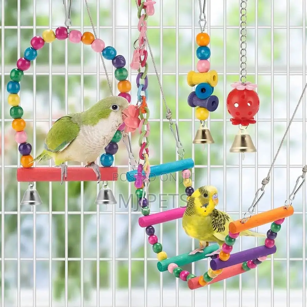Parrot Swing Play Toys