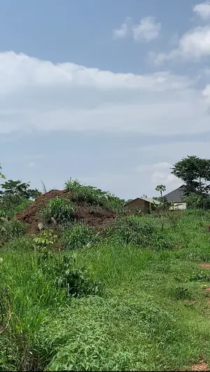 Fast Development Land Between Agenda 111 and Dumesua