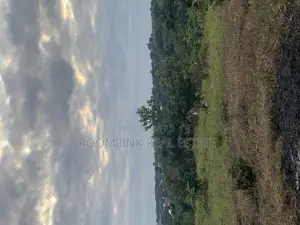 Fast Development Land Between Agenda 111 and Dumesua