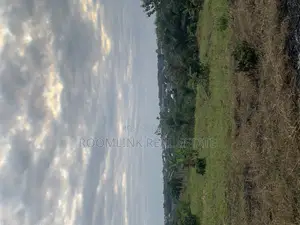 Fast Development Land Between Agenda 111 and Dumesua