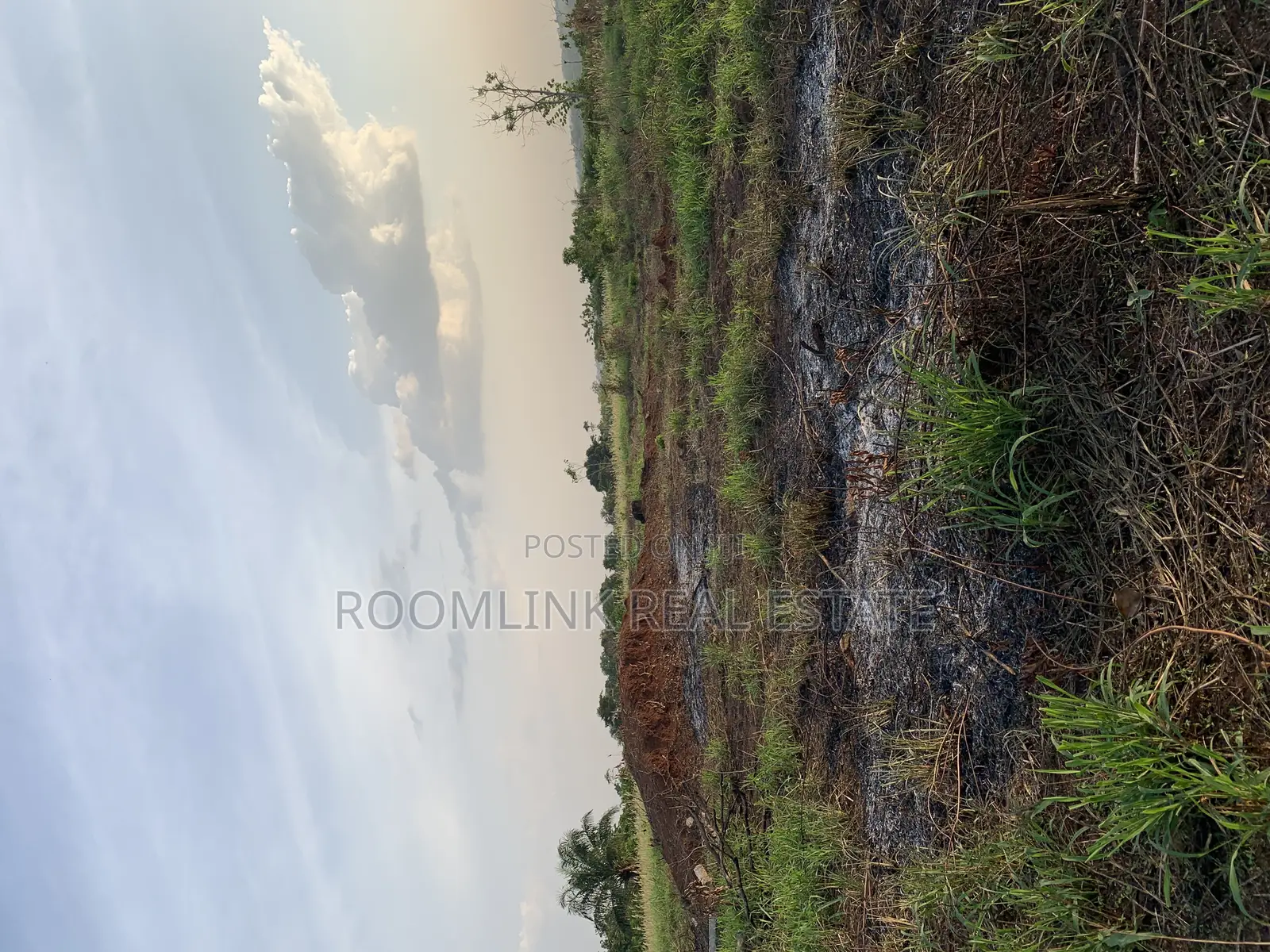 Fast Development Land Between Agenda 111 and Dumesua