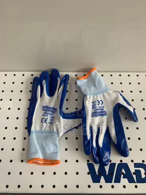 Nitrile Glove Xl - Wgv2801
