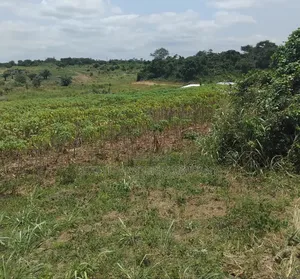Straight Forward Land Available at Panfokrom