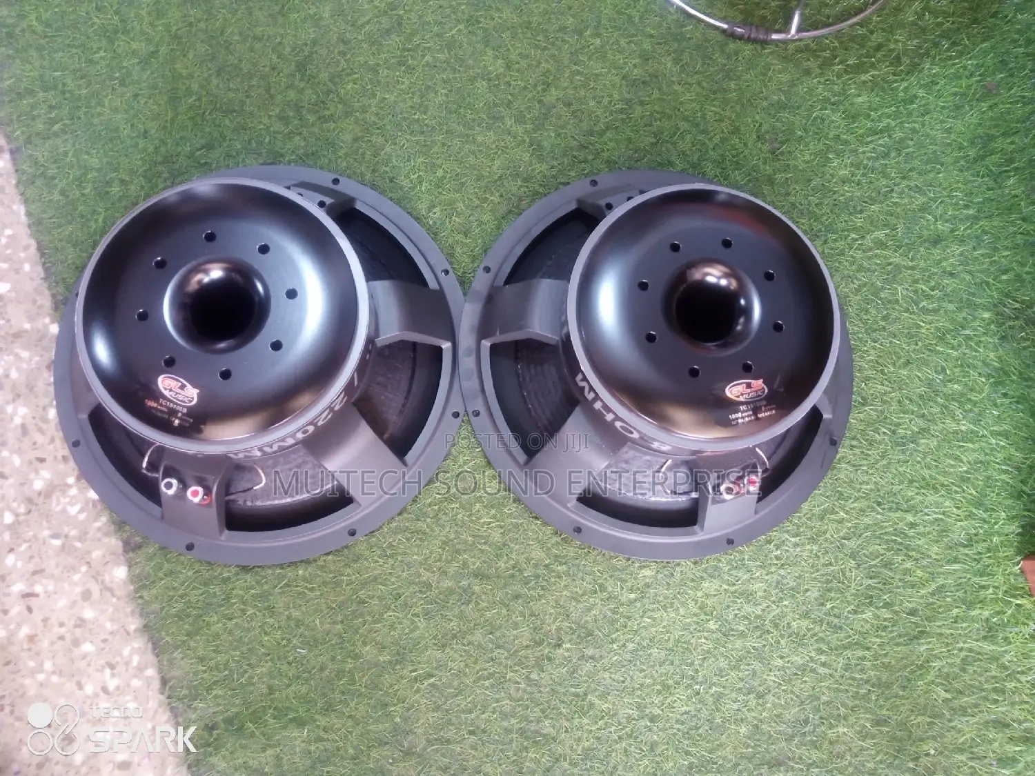 Titanic Naked Speaker '18' Inches