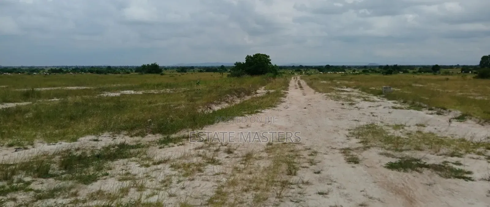 Titled Plots of Land Up for Sale