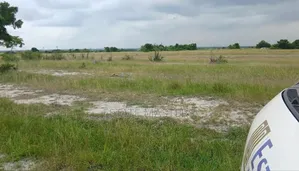 Own a Land Now