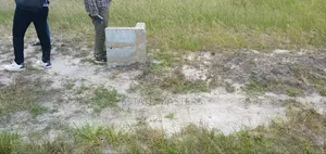 Perfect Demarcated Lands Up for Sale