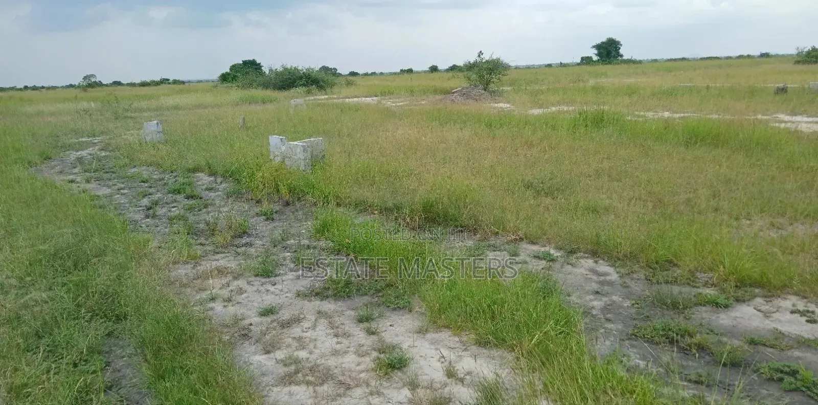Perfect Demarcated Lands Up for Sale
