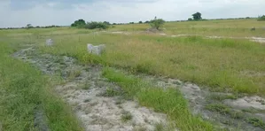 Perfect Demarcated Lands Up for Sale