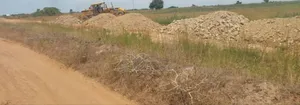New Price Reduction Promo on Lands