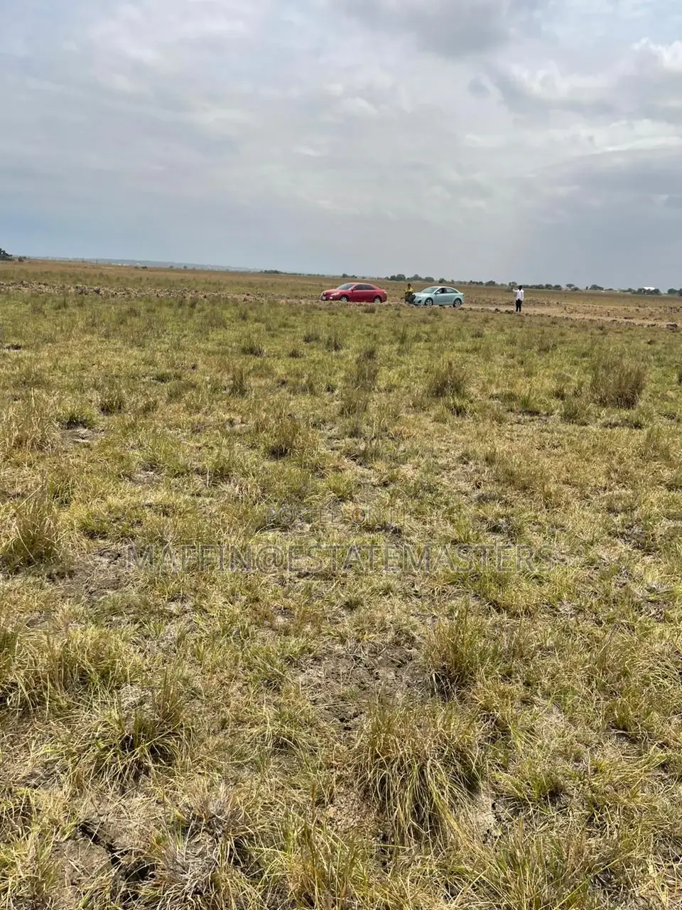 Waterlogged-Free Land for Sale (100x100)
